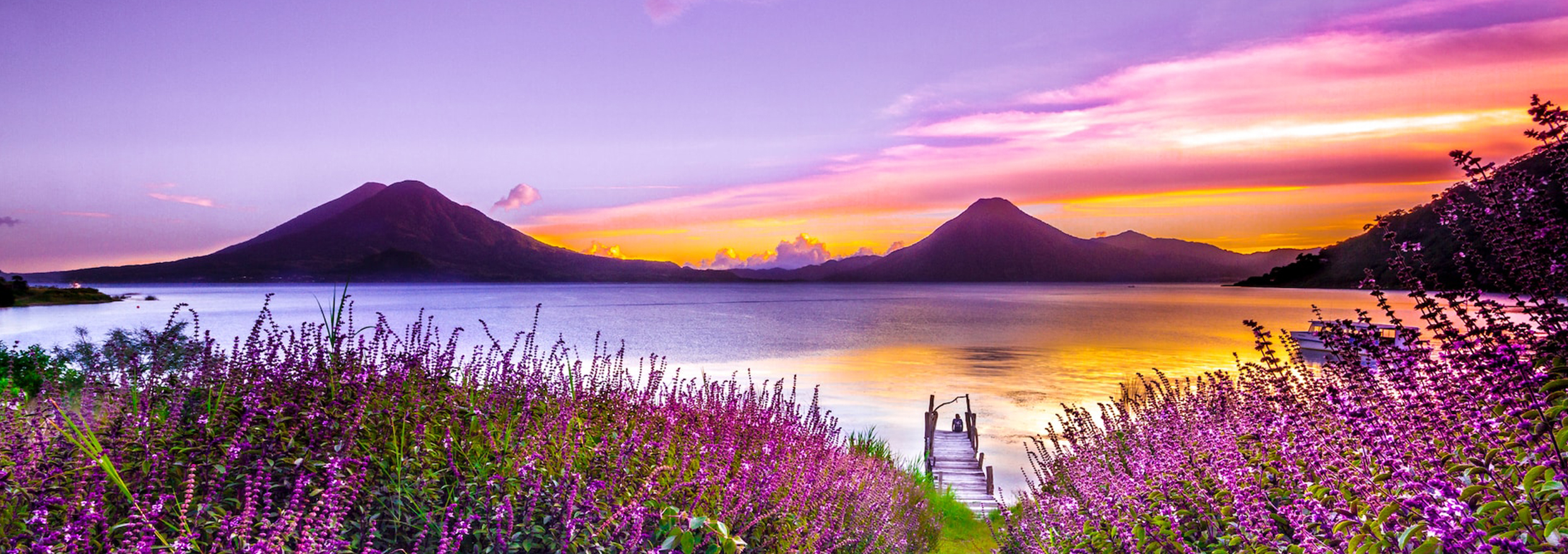 campo di lavanda con tonalità tenui, immagine romantica per fare da sfondo alla terapia di coppia